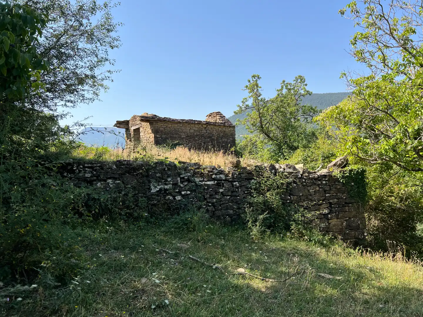 Exterior view of Land for sale in Broto