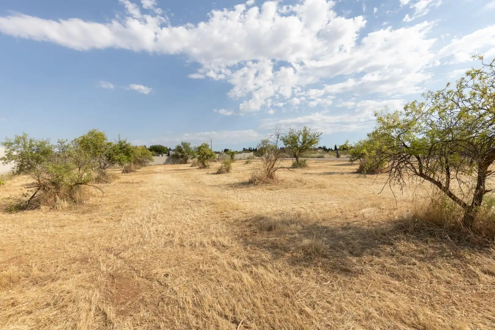 Rural land for sale in Polígono 10 Parcela 308 RIEGOS DE MORALEDA. MORAL, imagen 16
