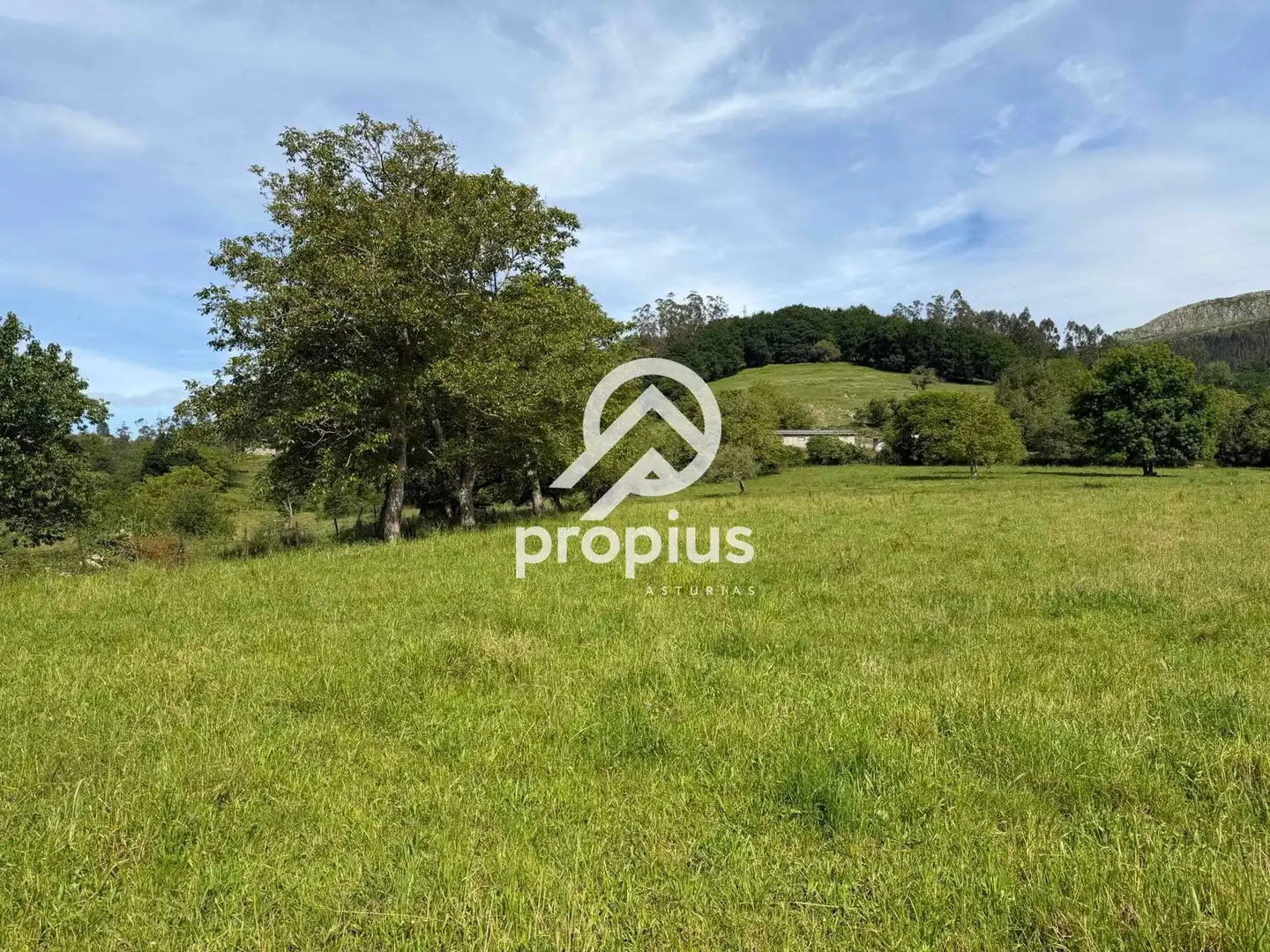 Rural land for sale in Bode, imagen 9