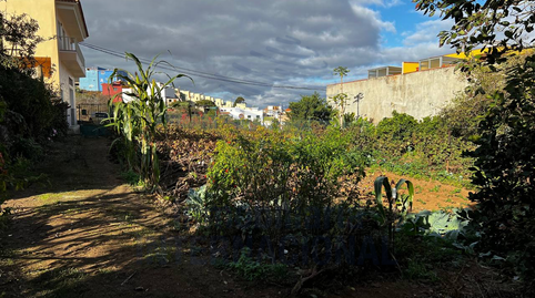 Foto 3 de Finca rústica en venda a Camino Vera de la Florida, El Bebedero - Pinolere - Aguamansa, La Orotava