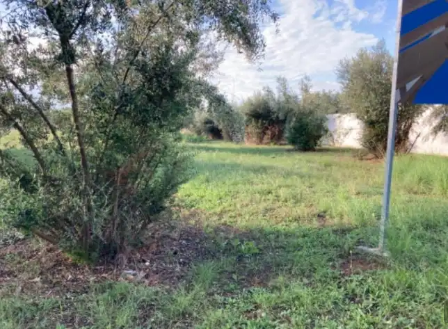 Terreno residencial en venta en Alcàsser, imagen 5