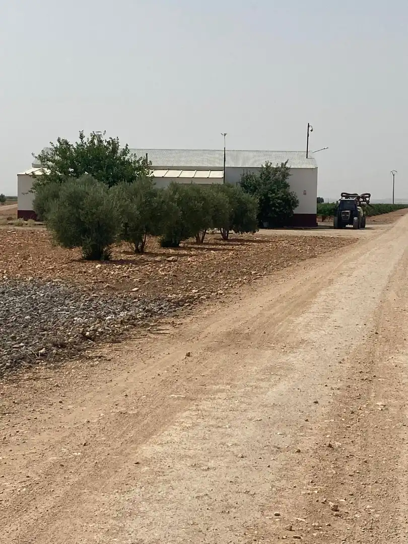 Terreno en venta en Socuéllamos