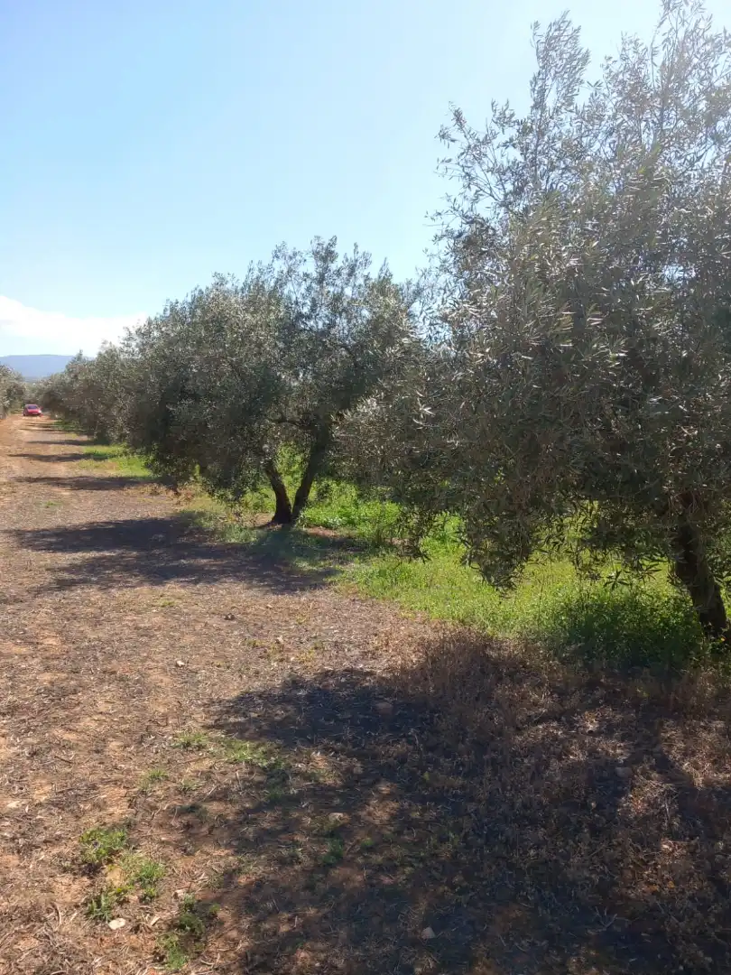 Terreni e lotti in vendita a Atarfe, imagen 7