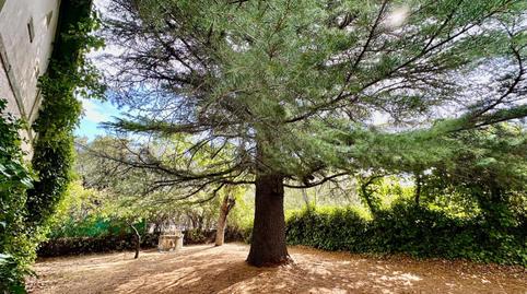 Photo 5 of House or chalet for sale in Los Molinos, Madrid