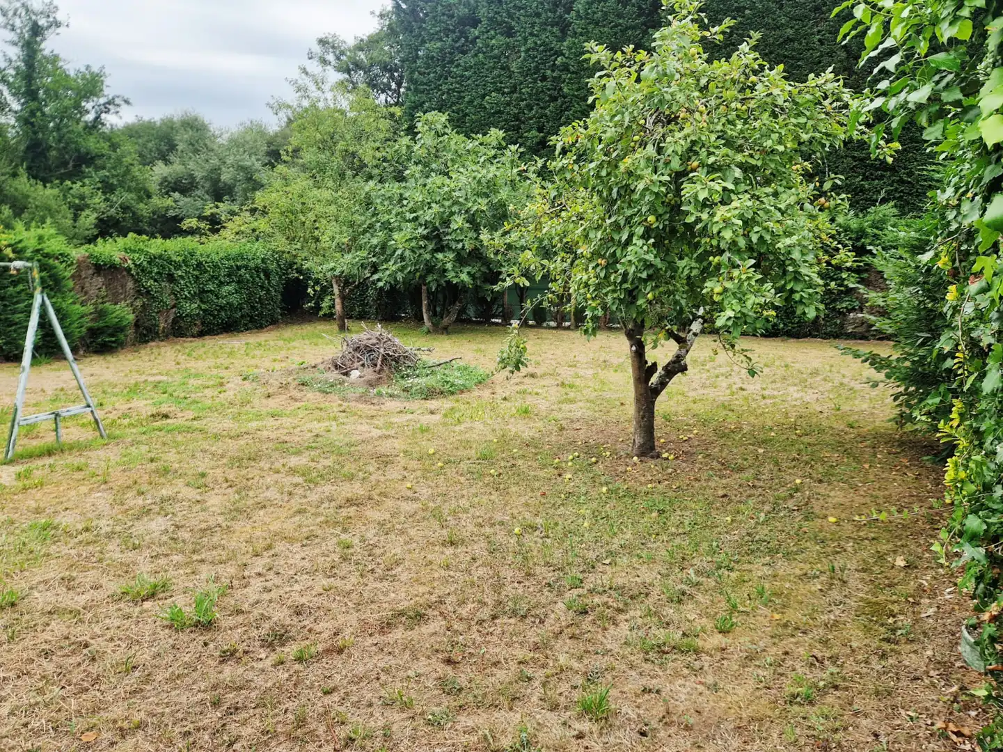 Terreno rustico in vendita a Pillarno, imagen 16