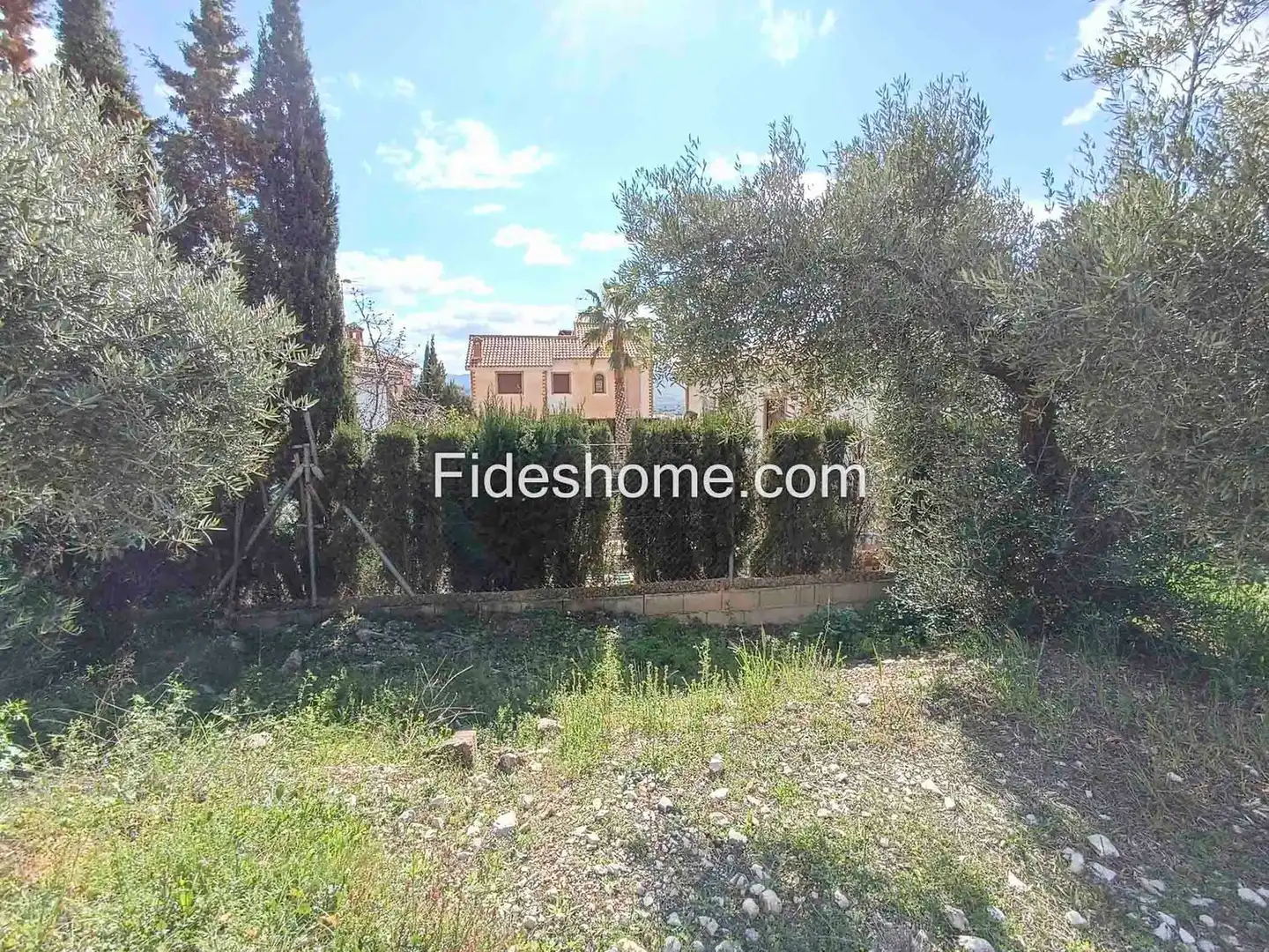 Rural land for sale in Calle Gabriel Garcia Marquez 9, imagen 11