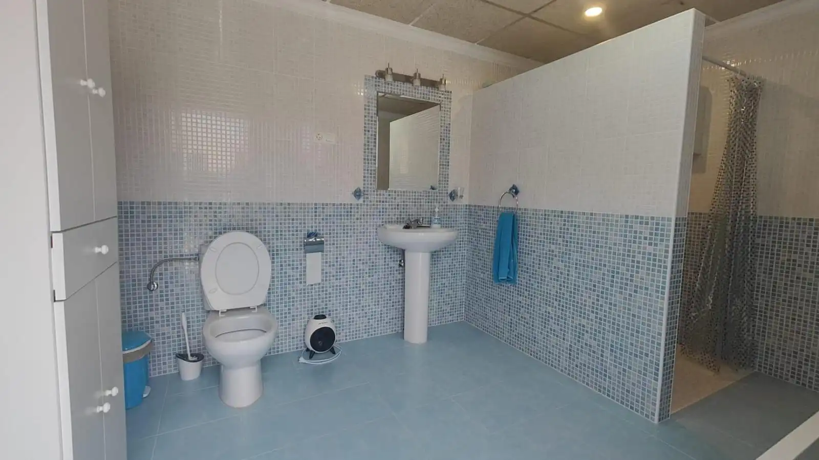 Bany de Casa o xalet en venda en Mula amb Terrassa