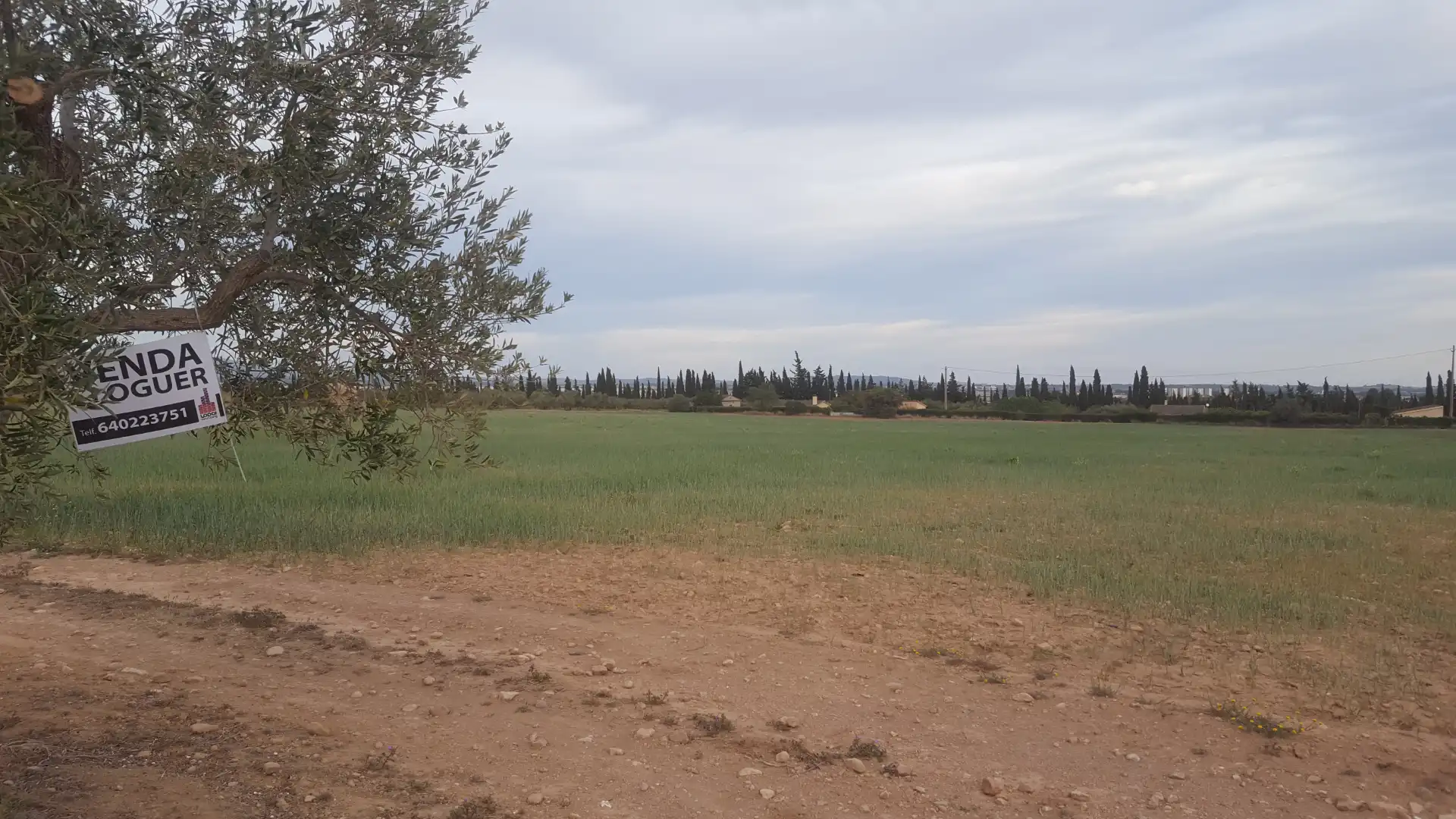 Terrain rustique à vendre à Vial Camino 102, imagen 7