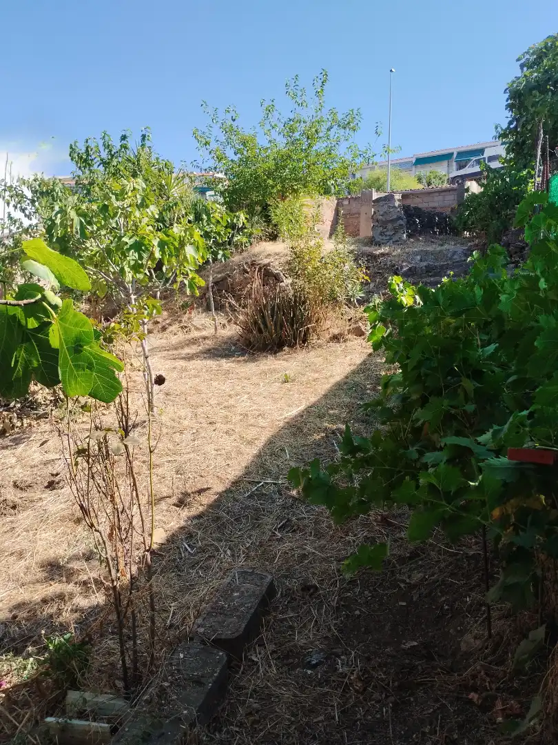 Haus mit Garten zum Verkauf in Jerez de los Caballeros