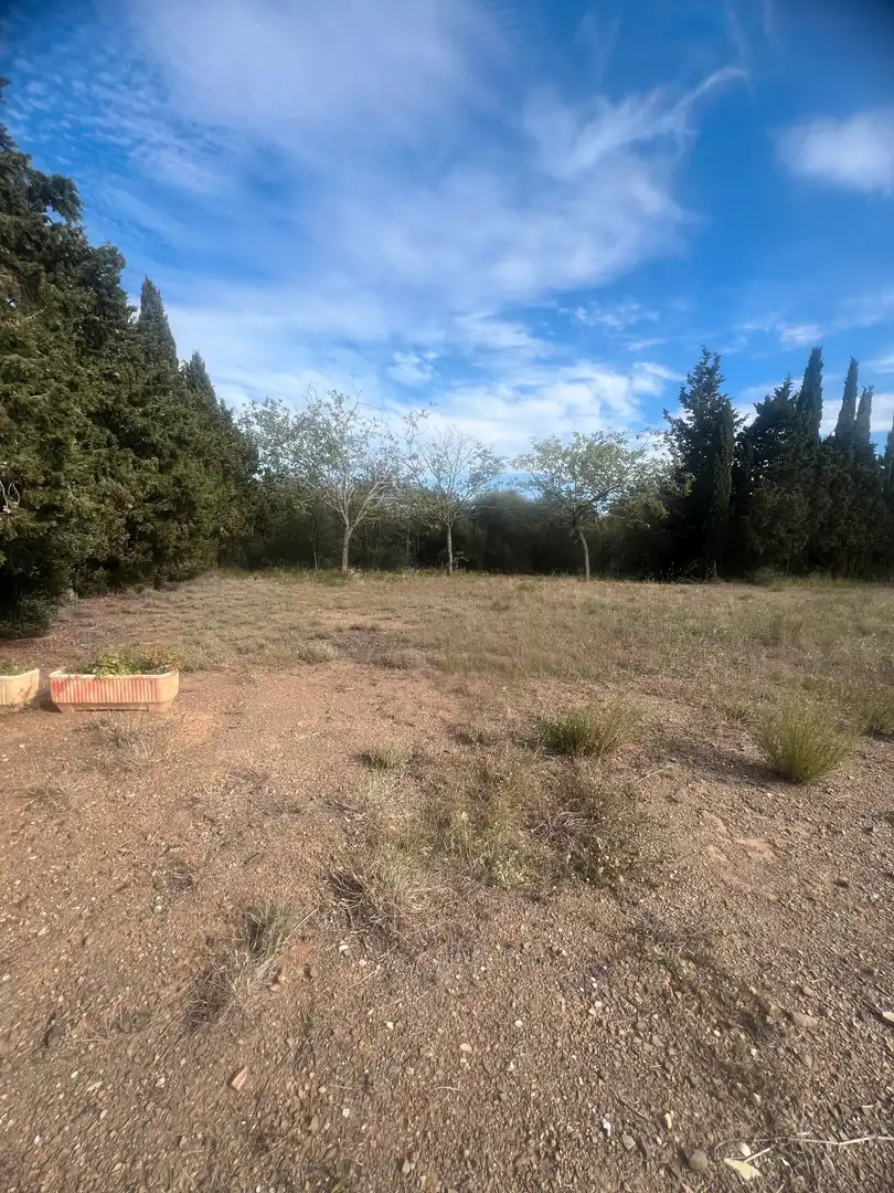 Terreno rustico in vendita a Almoster, imagen 10