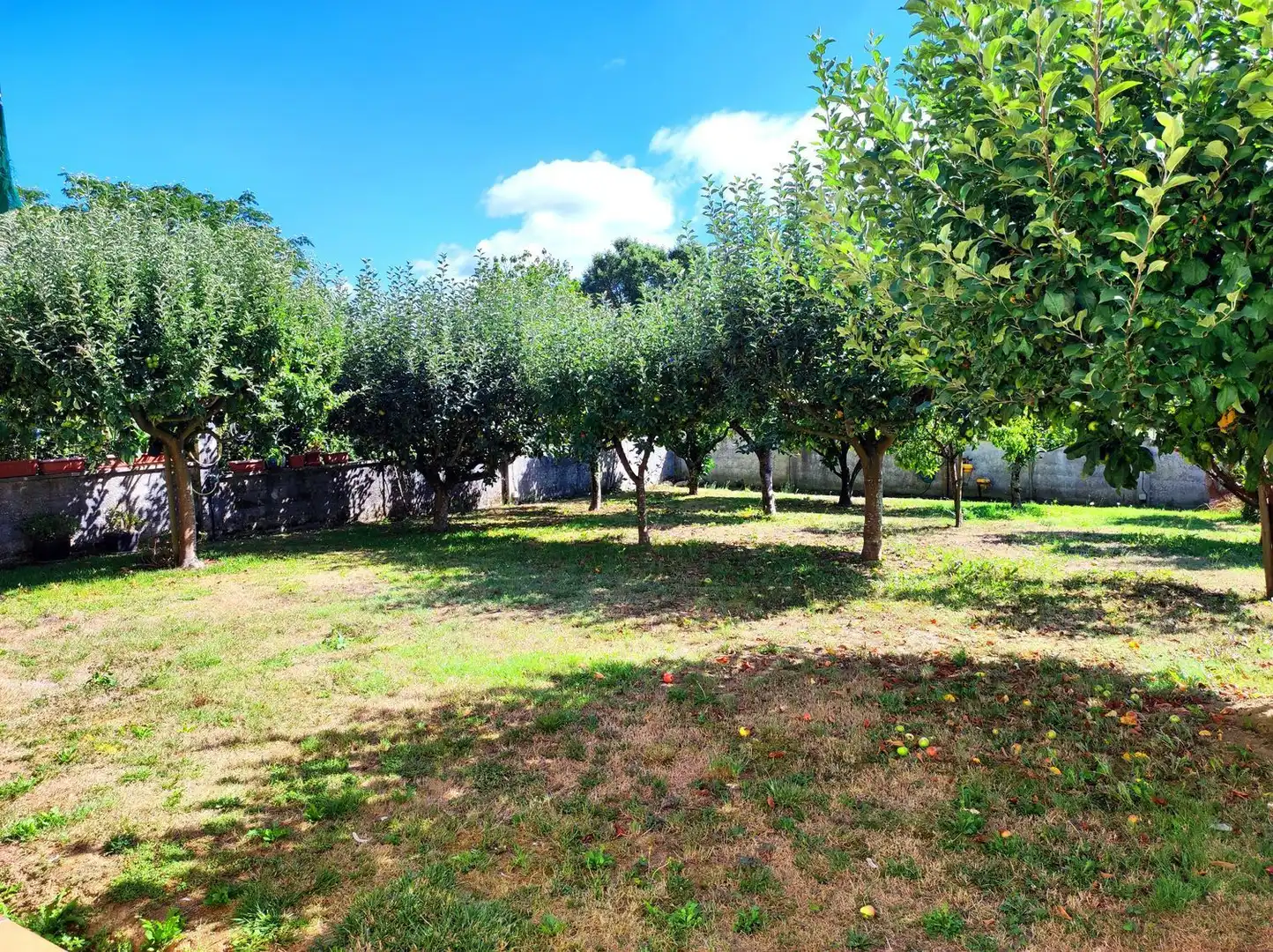 Villa con giardino in vendita a SOBRE IGREXA, imagen 23