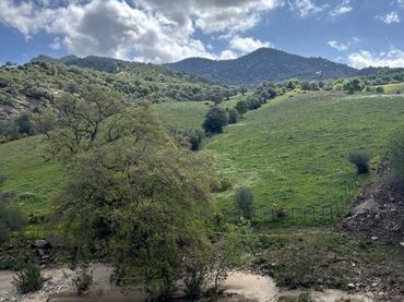 Grundstücke und Bauplätze zum Verkauf in Cortes de la Frontera