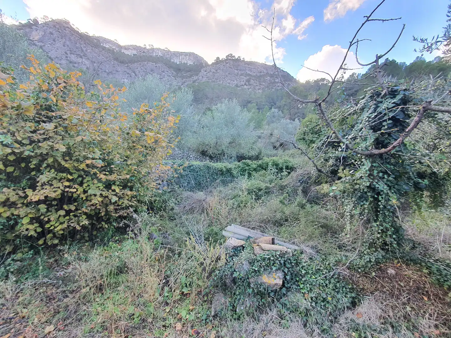 Casa en venta en Benifallet, imagen 55