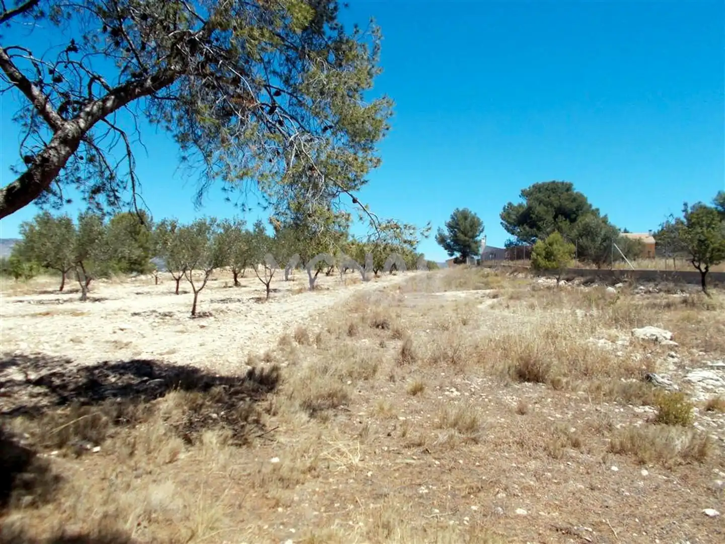 Terreny rústic en venda a Castalla, imagen 4