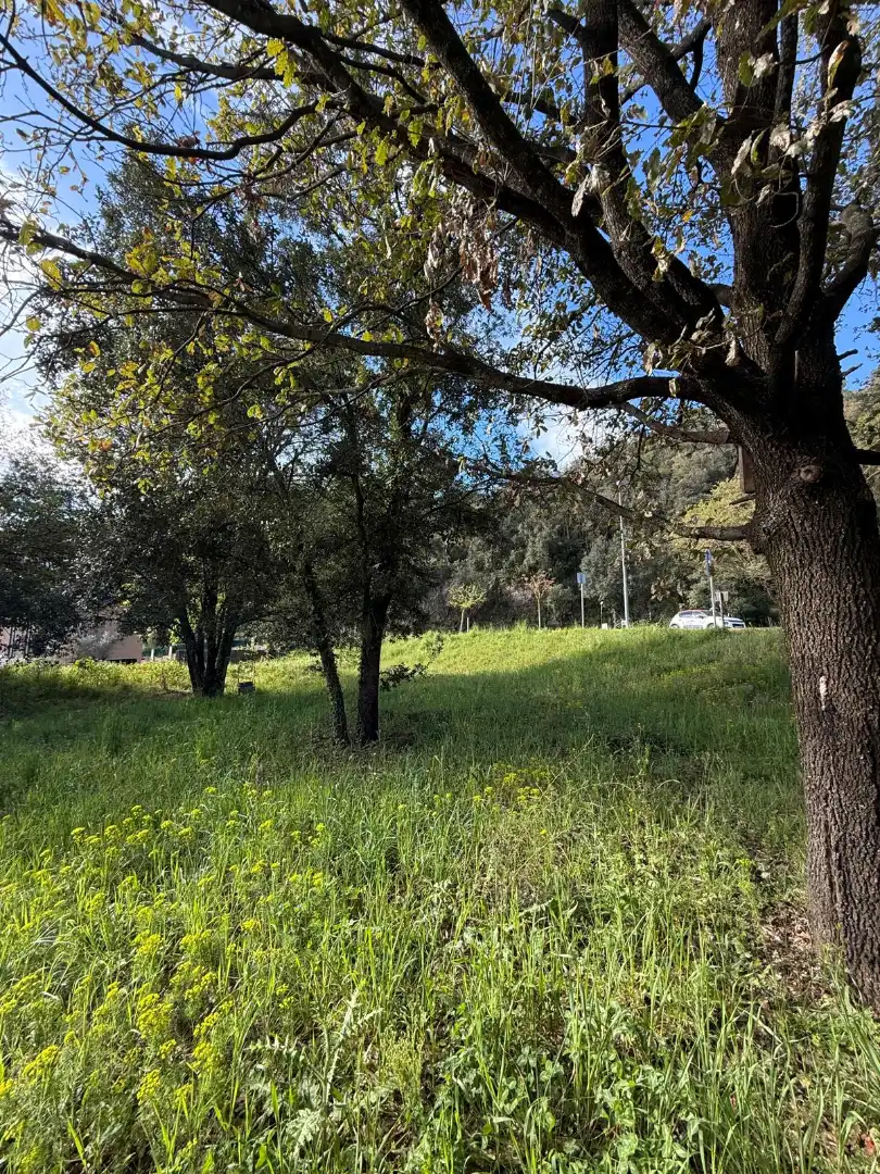 Wohnbaugrundstück zum Verkauf in Passeig de Can Figueres 33, imagen 12