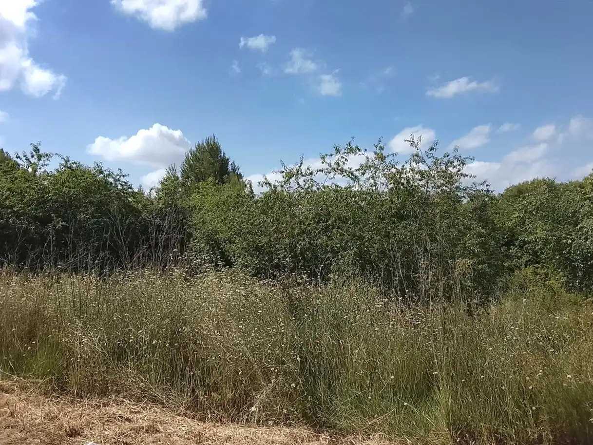 Residencial en venta en Godelleta, Valencia