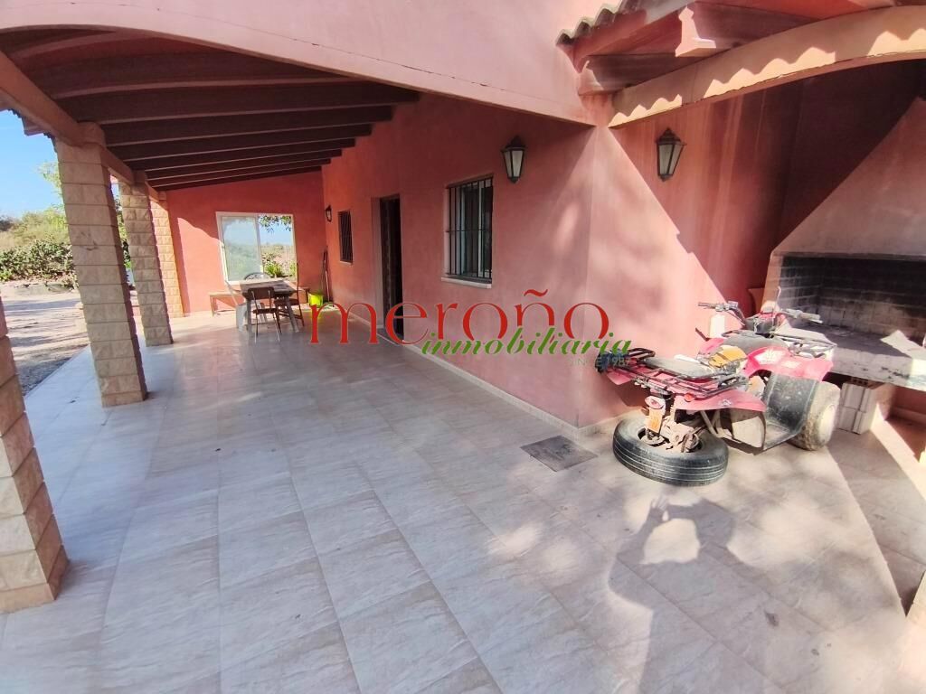 Exterior view of House or chalet for sale in Elche / Elx
