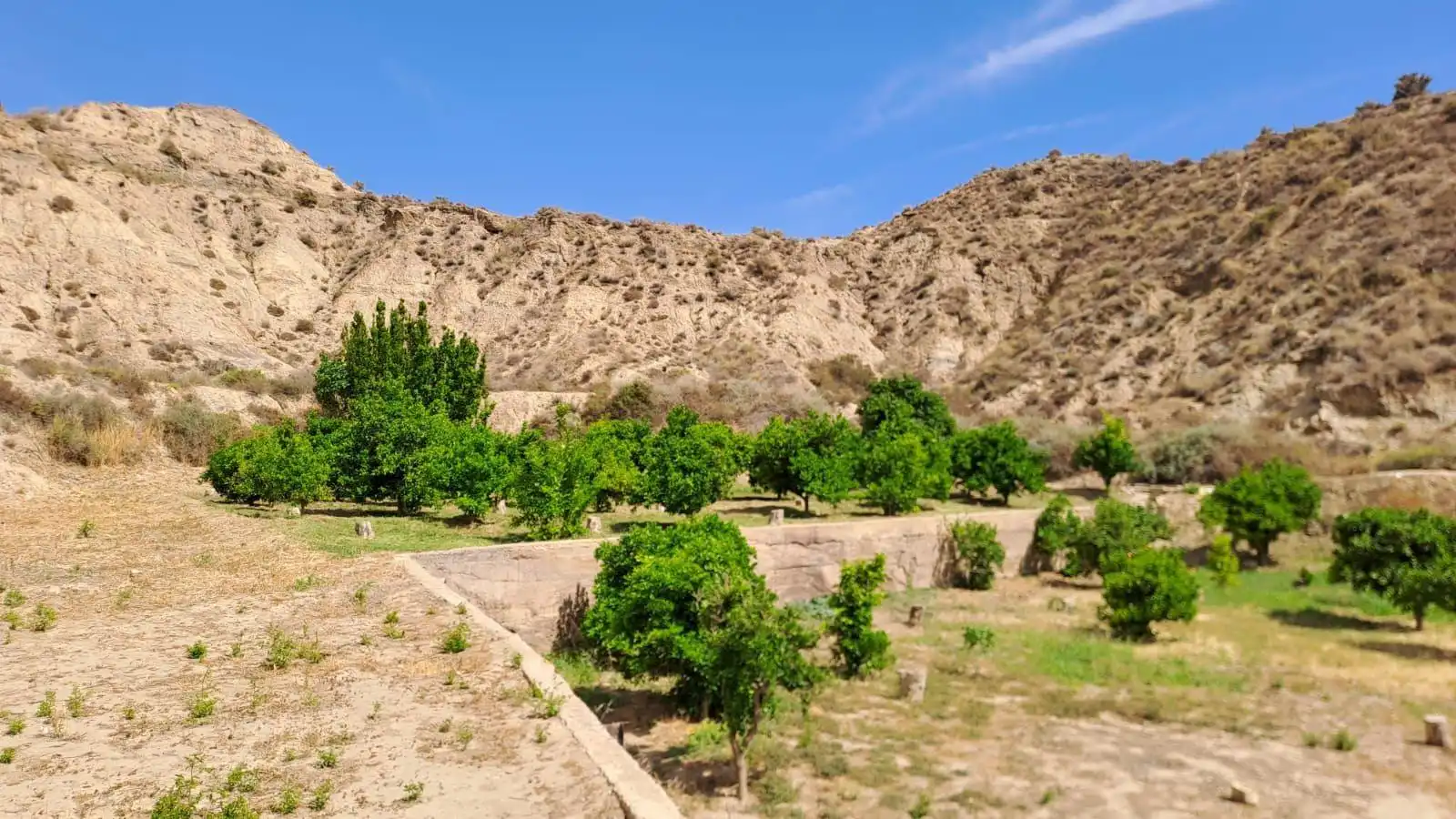 Jardín de Terreno en venta en Gádor