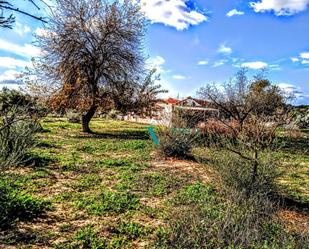 Finca rústica en venda en Arahal