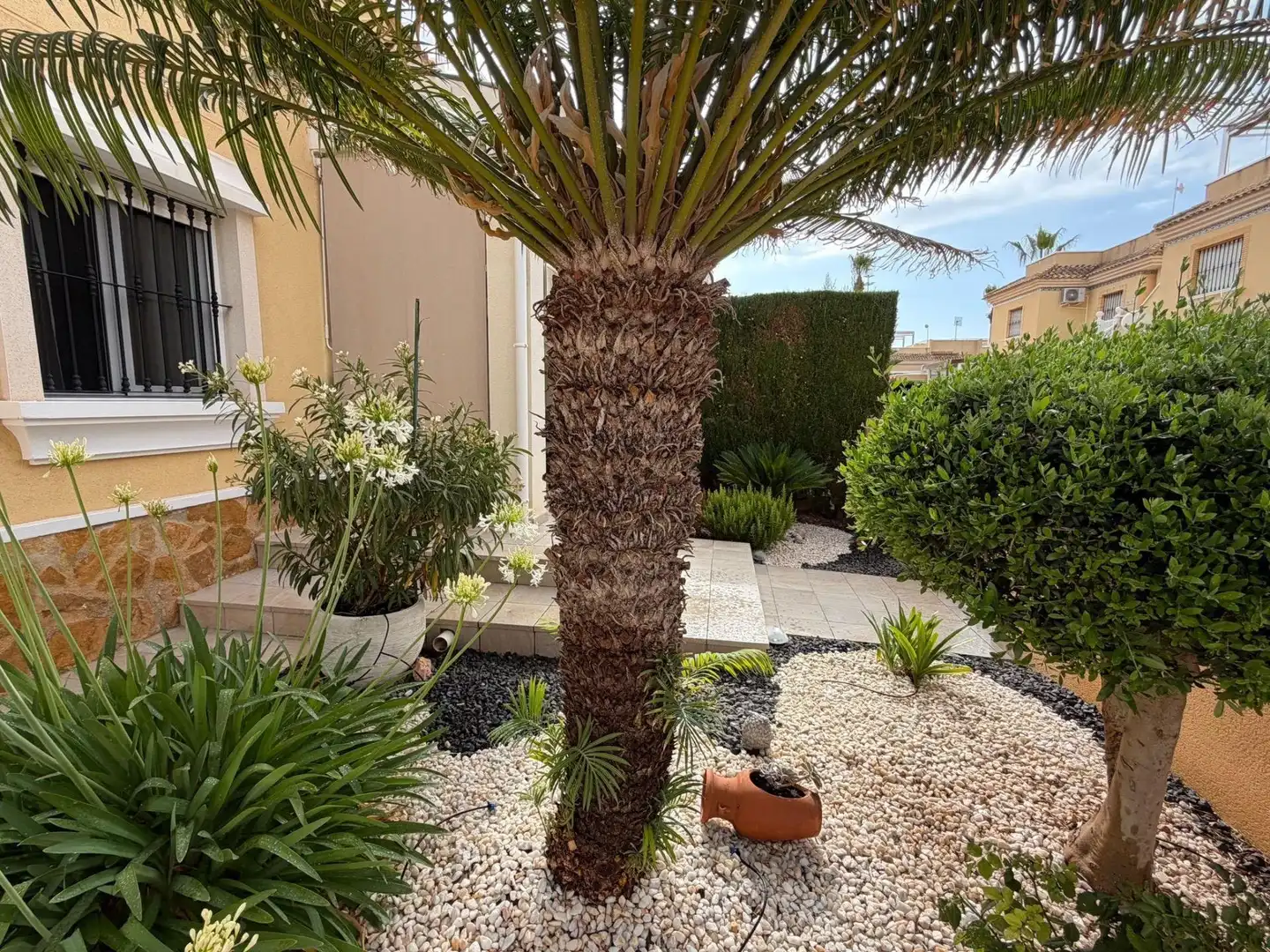 Jardín de Casa o chalet en venta en Orihuela Costa