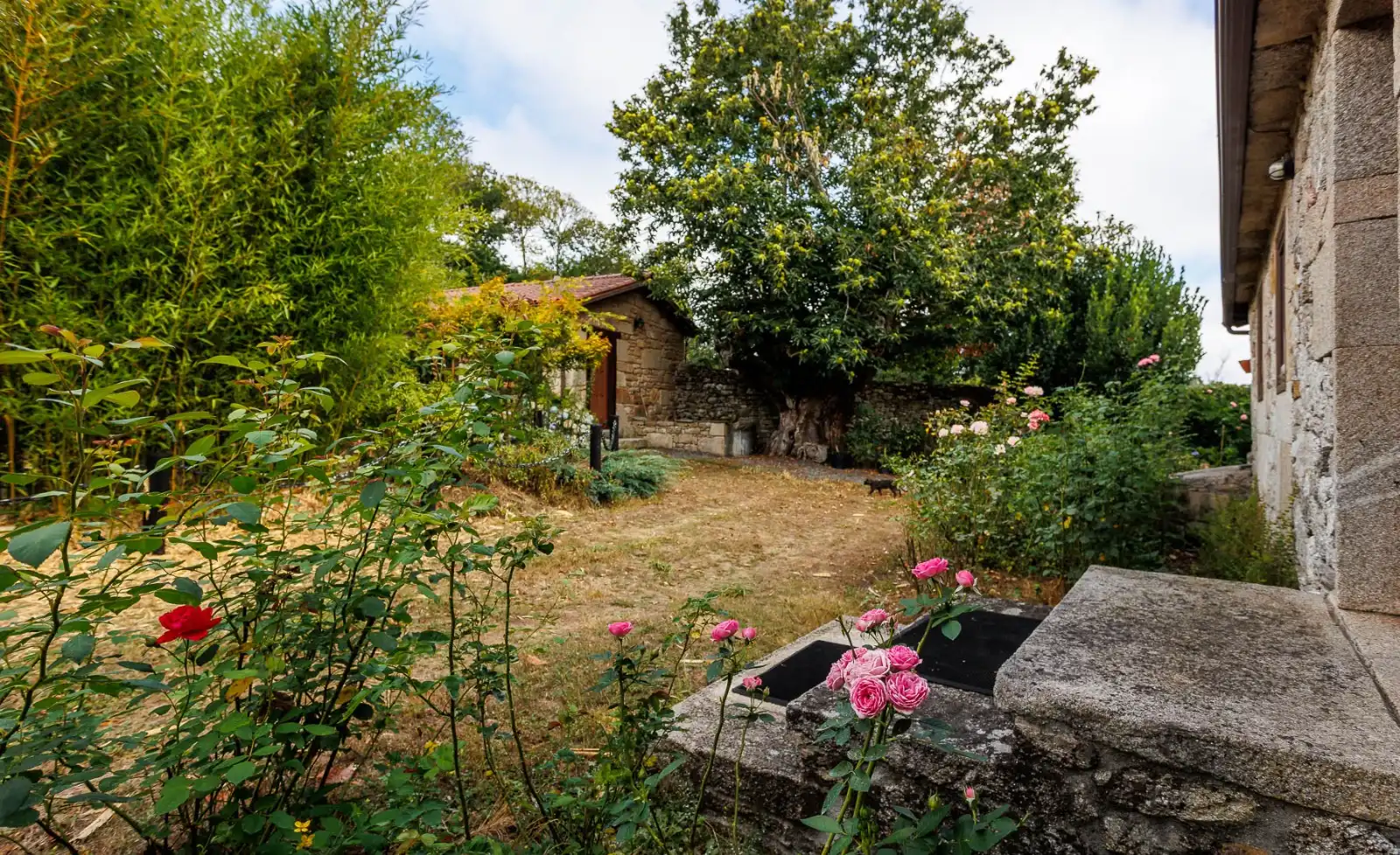 Jardí de Finca rústica en venda en Chantada amb Aire condicionat, Calefacció i Jardí privat