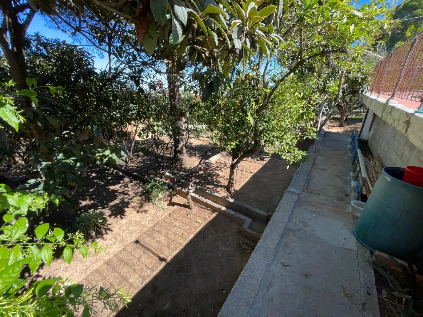 Jardín de Casa o chalet en venta en Alzira con Jardín privado, Terraza y Trastero