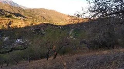 Photo 5 of Country homes for sale in Benamargosa, Málaga