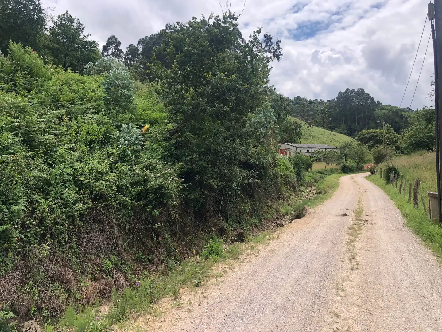 Terreno rustico in vendita a Rural, imagen 8