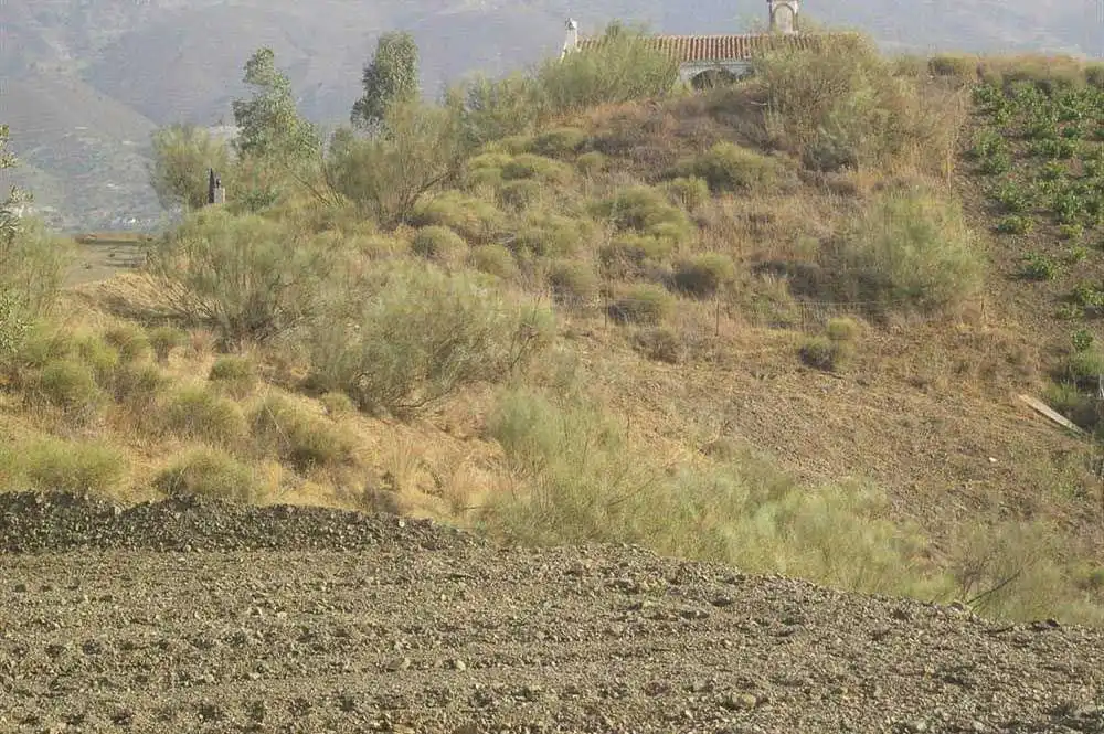Terreno rústico en venta en Sedella, imagen 7