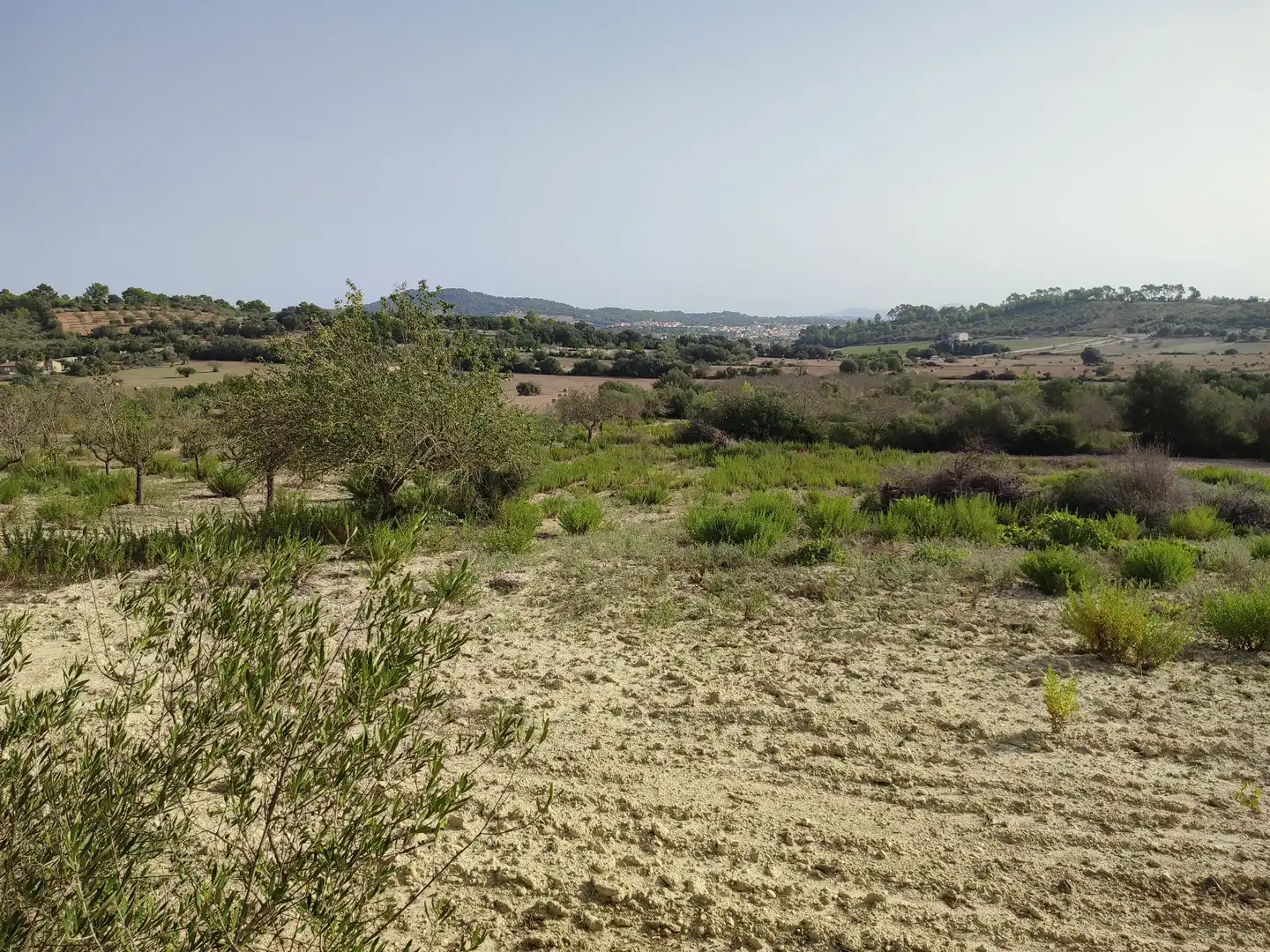 Terreny residencial en venda a Sant Joan