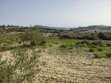 Terreno residencial en venta en Sant Joan