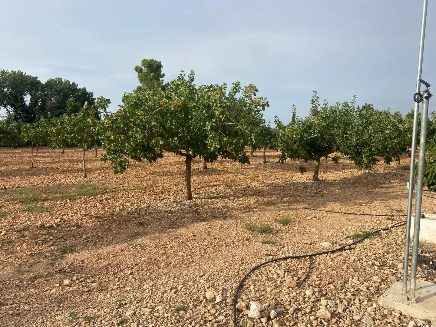 Casa o chalet en venta en Ciudad Real con Aire acondicionado, Calefacción y Jardín privado