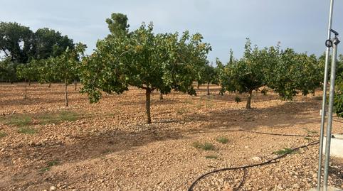 Photo 3 of House or chalet for sale in  de Los Parrales, Área Rural-Valverde-Las Casas, Ciudad Real