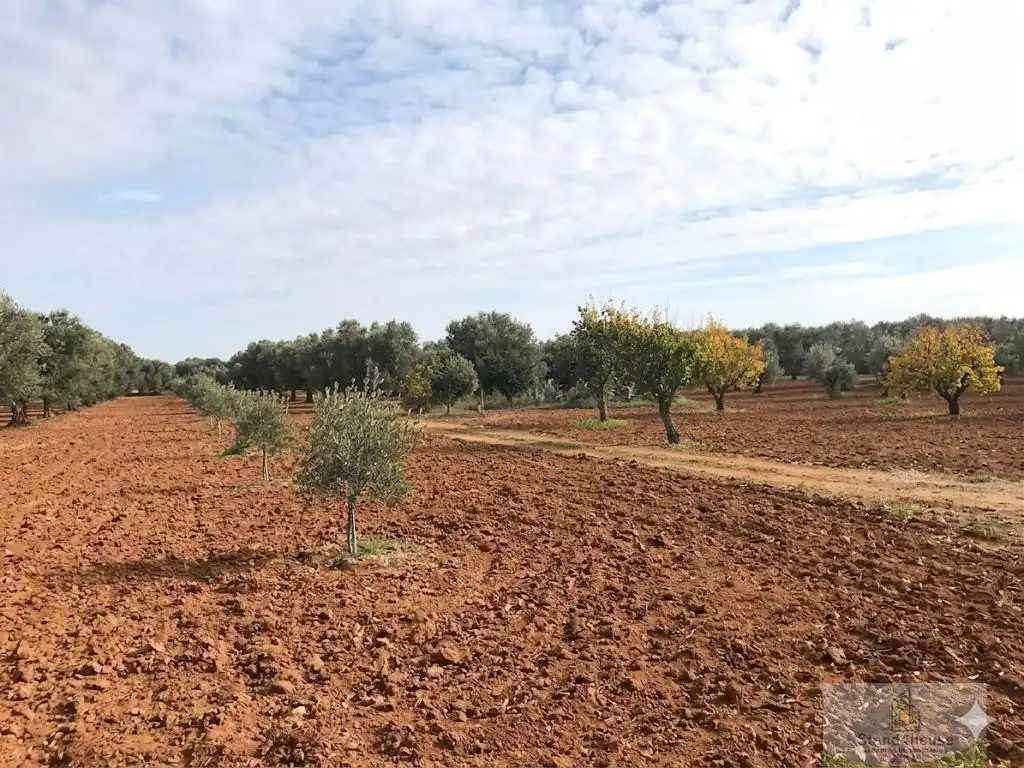 Finca rústica en venta en Bollullos Par del Condado con Alarma