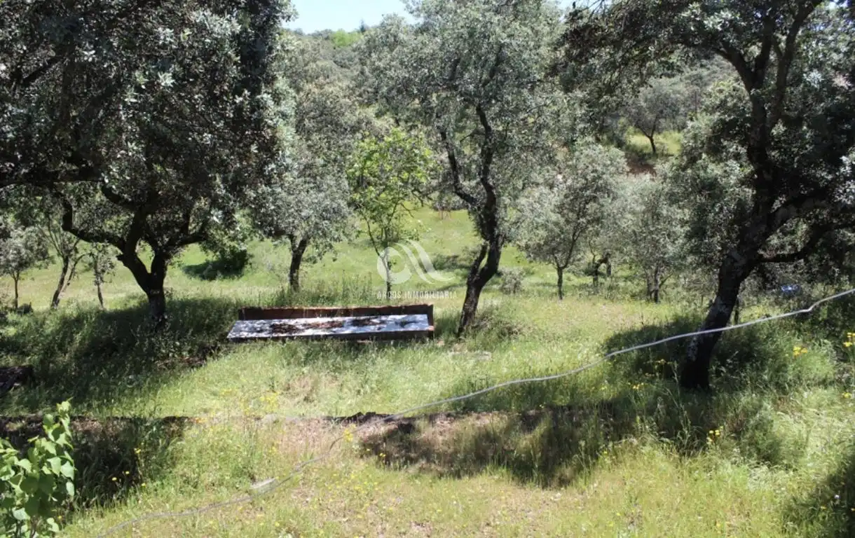 Casa o chalet en venta en Córdoba