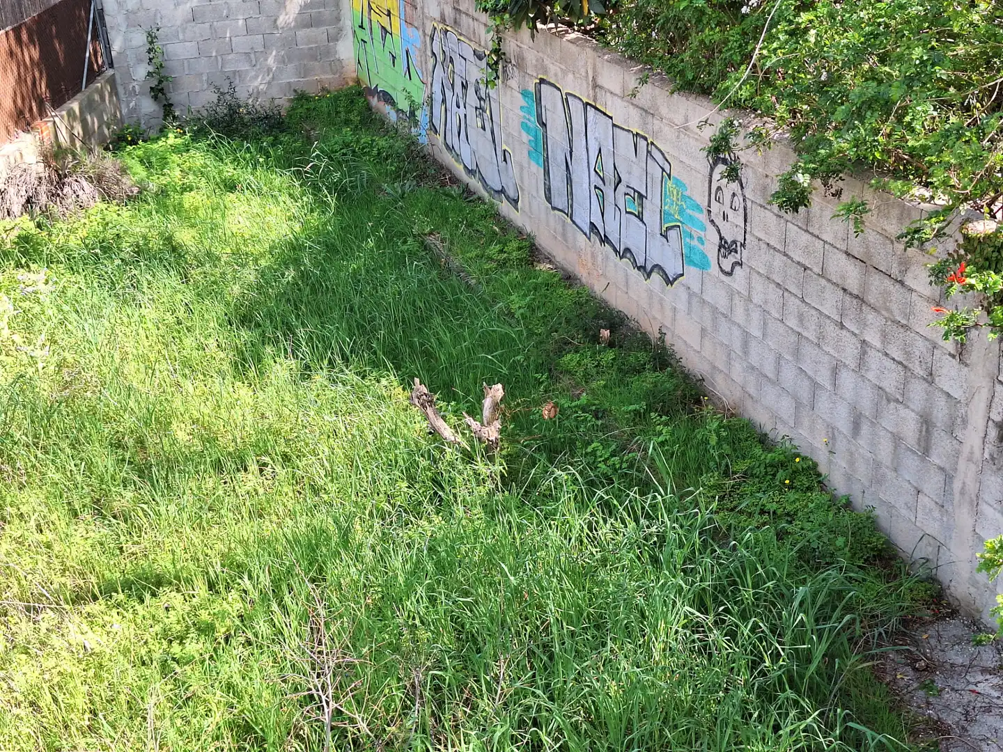 Exterior view of Houses for sale in Estivella  with Private garden and Furnished
