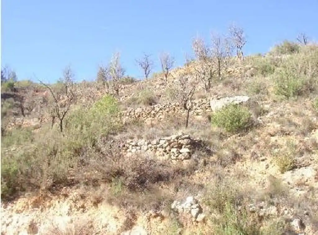 Terreny rústic en venda a Casas Bajas, imagen 6