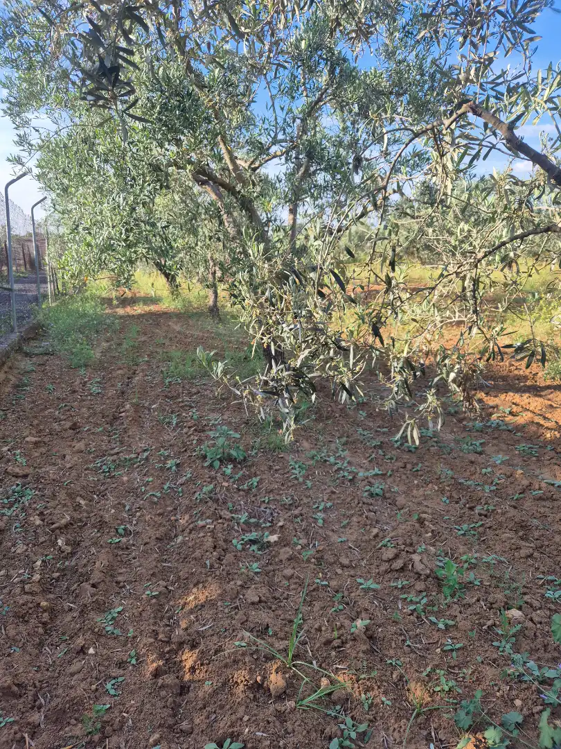 Terreni e lotti in vendita a Avenida María Auxiliadora 40, imagen 2