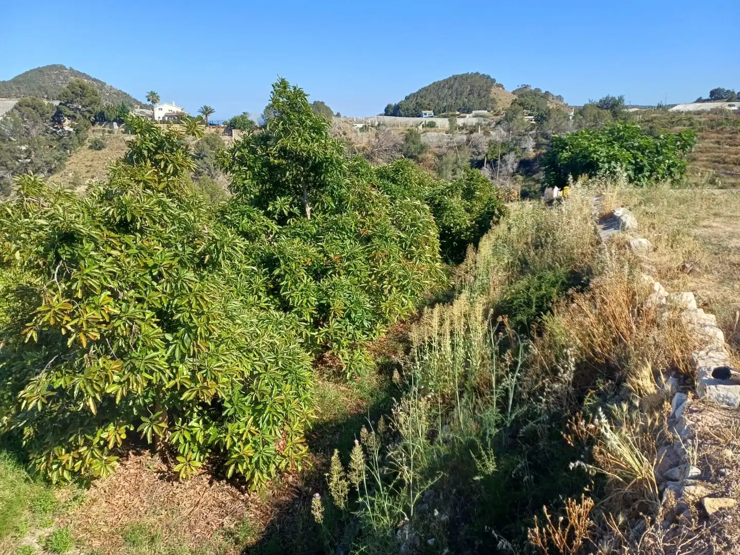 Rural land for sale in Callosa d'en Sarrià, imagen 38