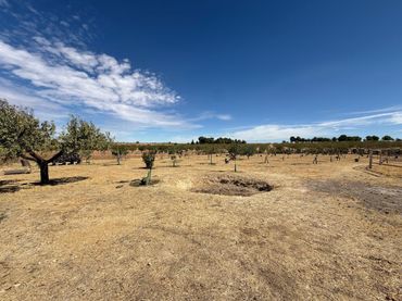 Landhaus mit Garten zum Verkauf in La Reconquista