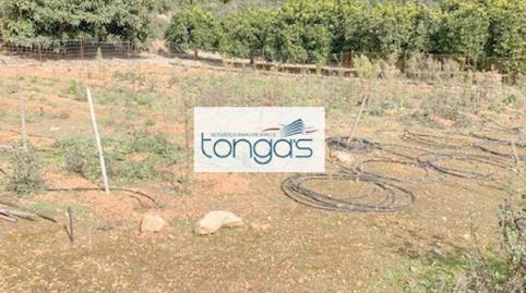 Foto 4 de Casa o chalet en venta en L'Amistat,  Valencia Capital