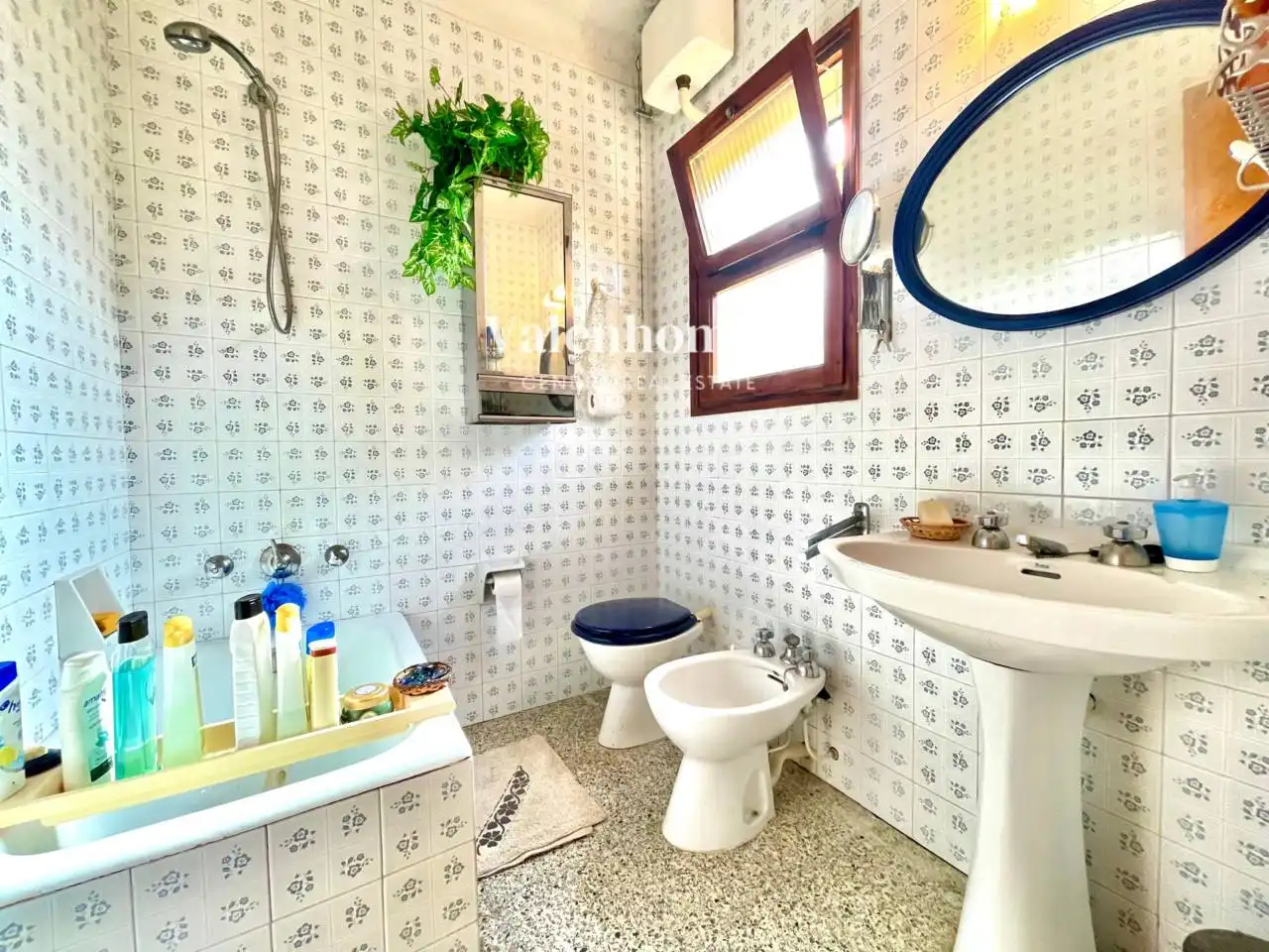 Houses for sale in Els Griells