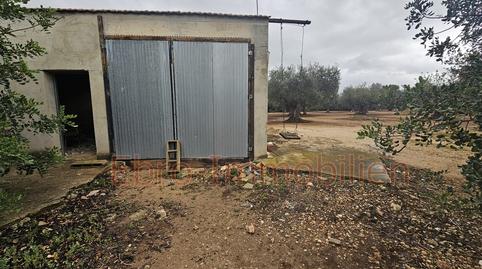 Foto 5 de Finca rústica en venta en Jesús - Els Reguers, Tortosa