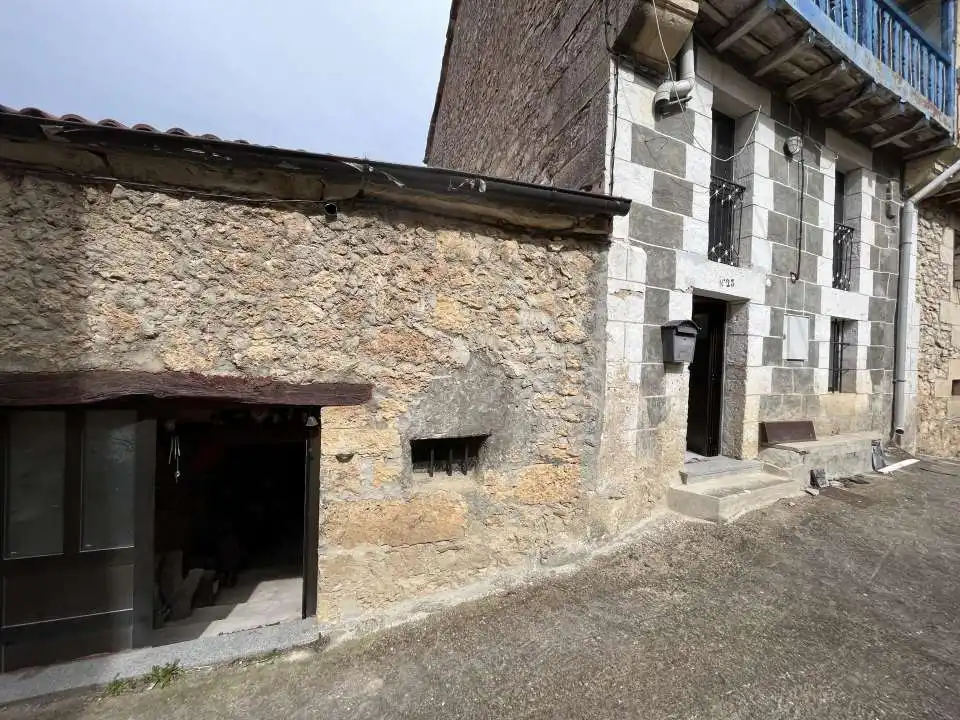 Vista exterior de Casa o chalet en venta en Valle de Manzanedo con Jardín privado