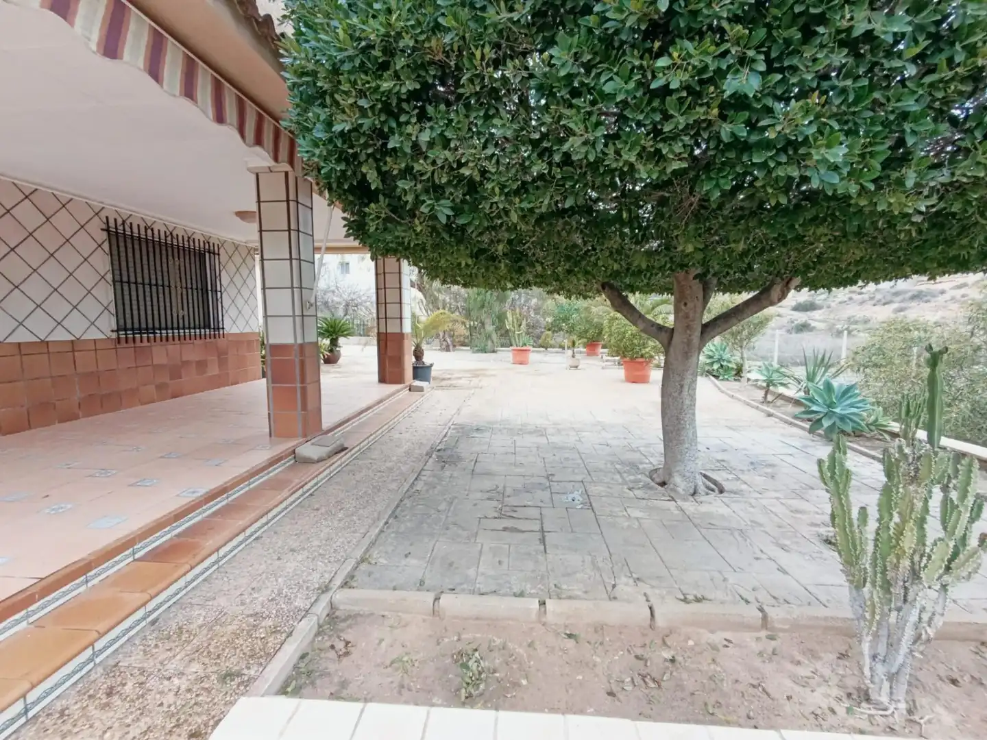 Jardí de Casa o xalet en venda en Elche / Elx amb Jardí privat, Terrassa i Traster