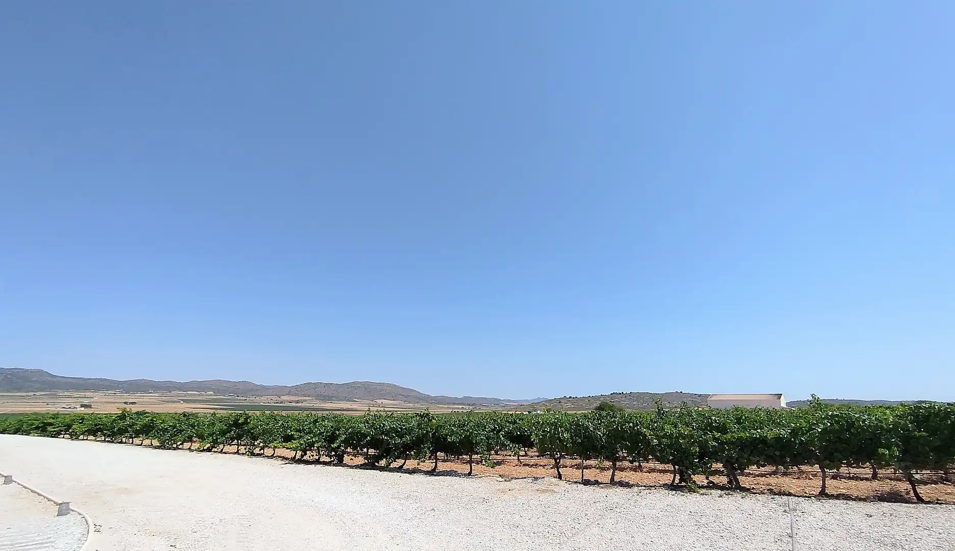 Vista exterior de Finca rústica en venda en Yecla amb Aire condicionat i Terrassa