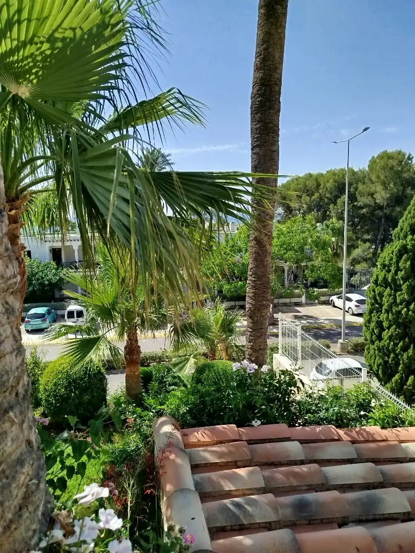Vista exterior de Residencial en venda en Alcalà de Xivert