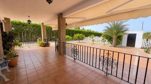Foto 5 de Finca rústica en venta en Diseminados, Mairena del Alcor, Sevilla