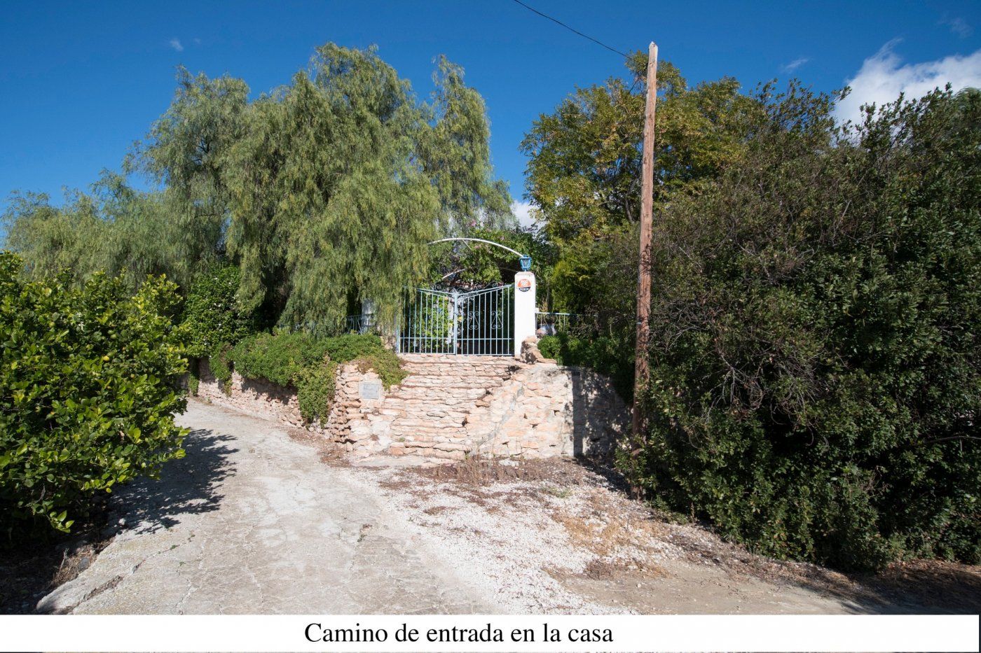 Exterior view of House or chalet for sale in Mula  with Private garden, Storage room and Jacuzzi