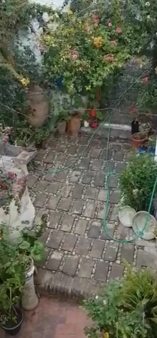 Jardí de Casa o xalet en venda en Benamocarra amb Terrassa i Moblat